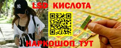 кокс Кингисепп