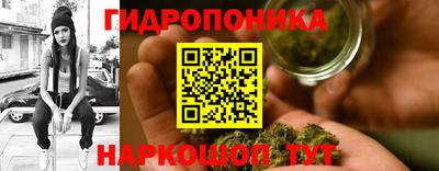 скорость Кимры