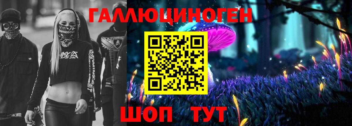 Псилоцибиновые грибы прущие грибы Кудымкар