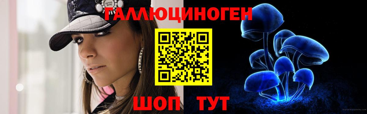 Кудымкар  Псилоцибиновые грибы Psilocybine cubensis  Вход с VPN 